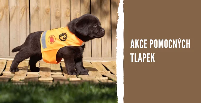 Akce pomocné tlapky