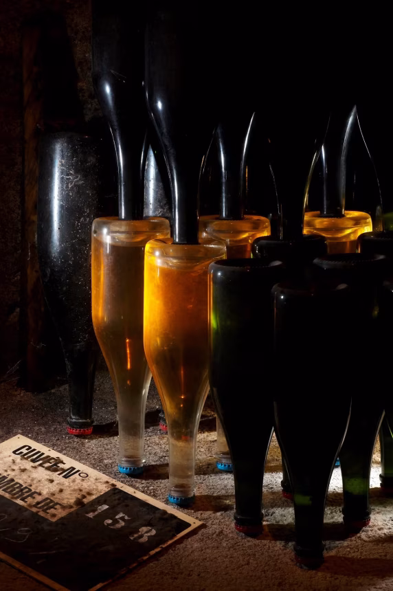 Grand Jour de Champagne - TRÉSOR DE CHAMPAGNE