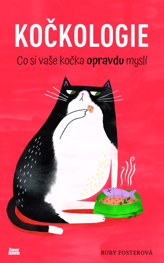 Kočkologie | brand photo