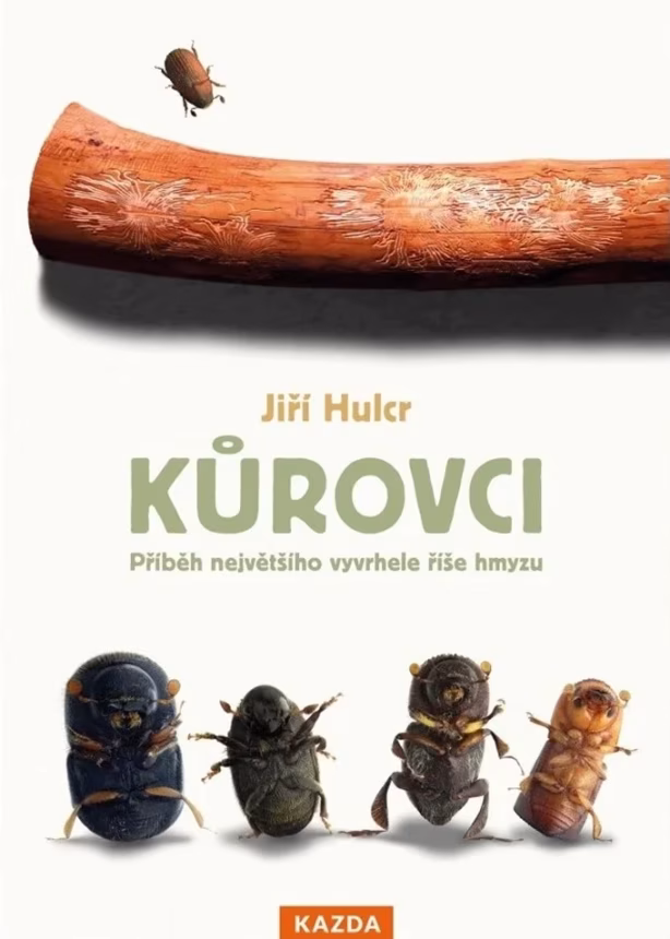 Kůrovci | brand photo