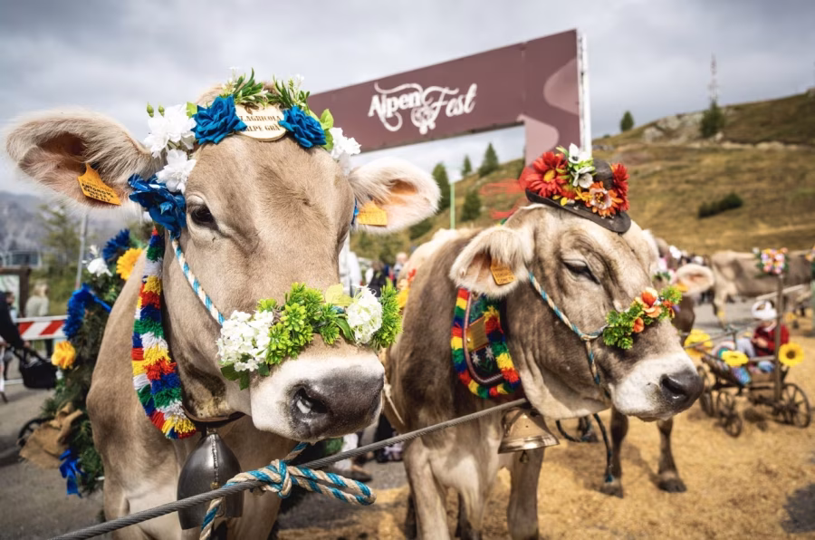 Livigno chystá srpnový závod na sněhu a zářijový Alpenfest - fotografie 2