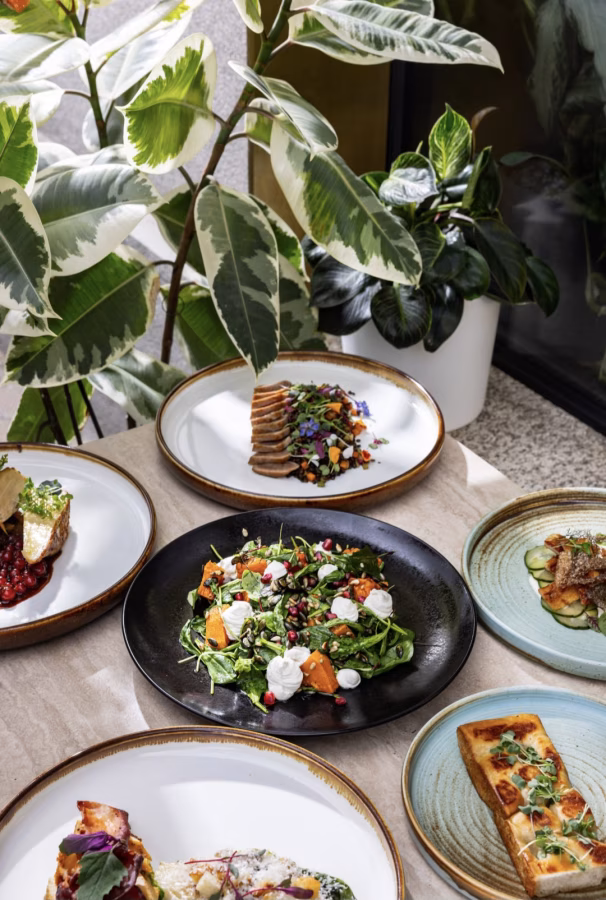 Nová restaurace Greenery 1060 otevírá v centru Prahy. Nabídne filmy Davida Ondříčka i winebar - fotografie 6