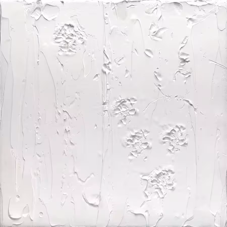 Susan Swartz: Nature Revisited 7, bílé reliéfní dílo z roku 2016