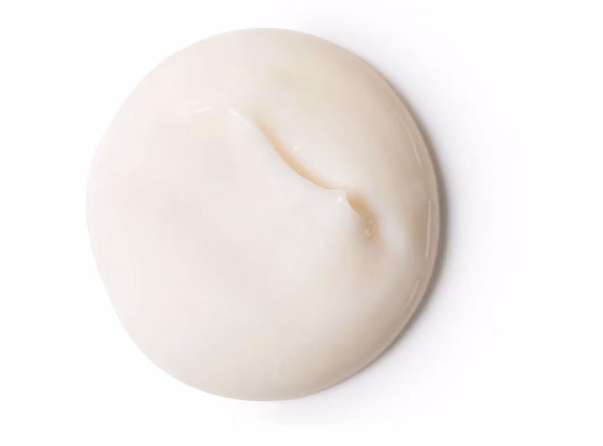 #VEGANUARY S LUSH, ANEB VEGANSKY OD HLAVY AŽ K PATĚ - foto 3 | brand photo
