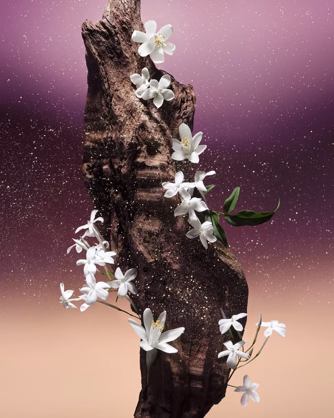Zažijte okouzlení novými vůněmi FLEUR DU DÉSERT od LOUIS VUITTON - foto 4 | brand photo