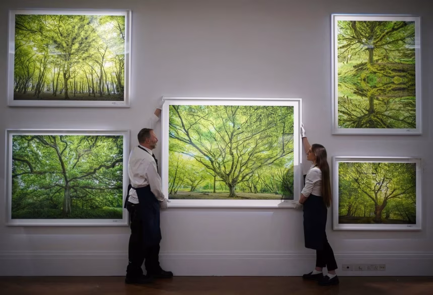 Výstavní instalace současného umění v Sotheby’s