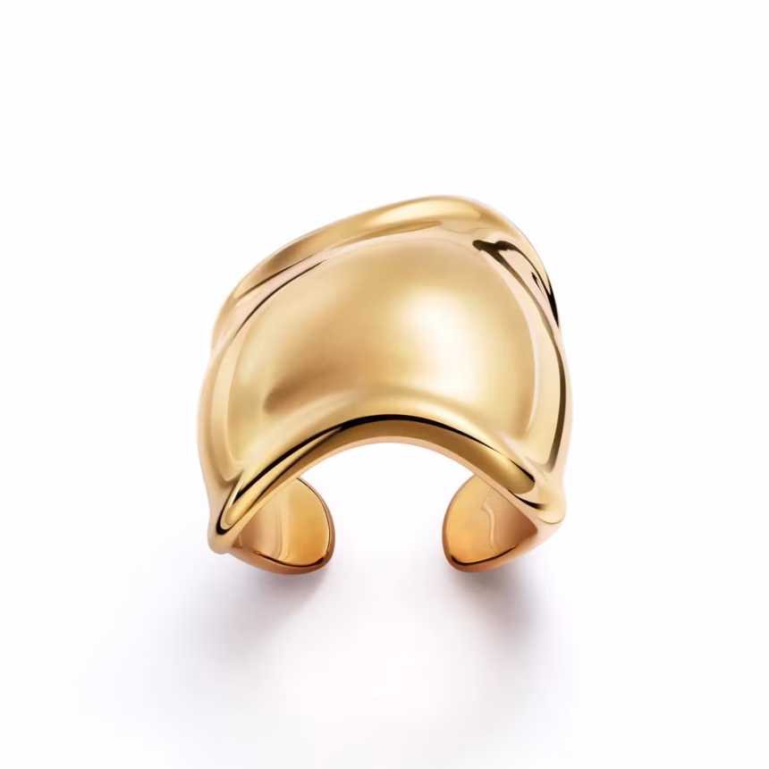 Tiffany & Co. představuje nové prsteny na oslavu 50. výročí legendární designérky Elsy Peretti® - foto 2 | brand photo
