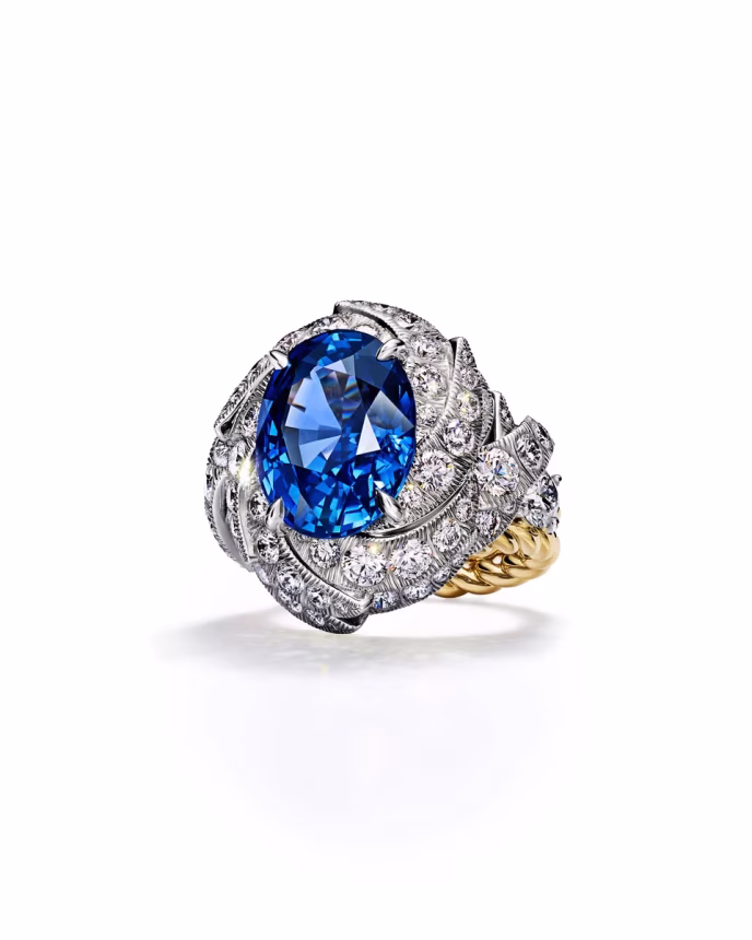 Tiffany & Co. odhaluje Blue Book 2024: Tiffany Céleste: Dechberoucí kolekce inspirovaná nebeskými tématy a tajemstvím…