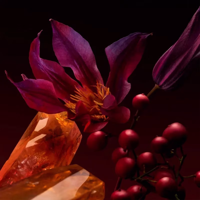 boss the scent elixir for her: nová definice smyslnosti - foto 3 | brand photo