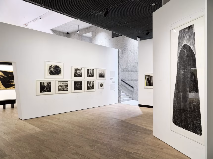 Anna-Eva Bergman & Hans Hartung: A nic nás nerozdělí – fotografie 2