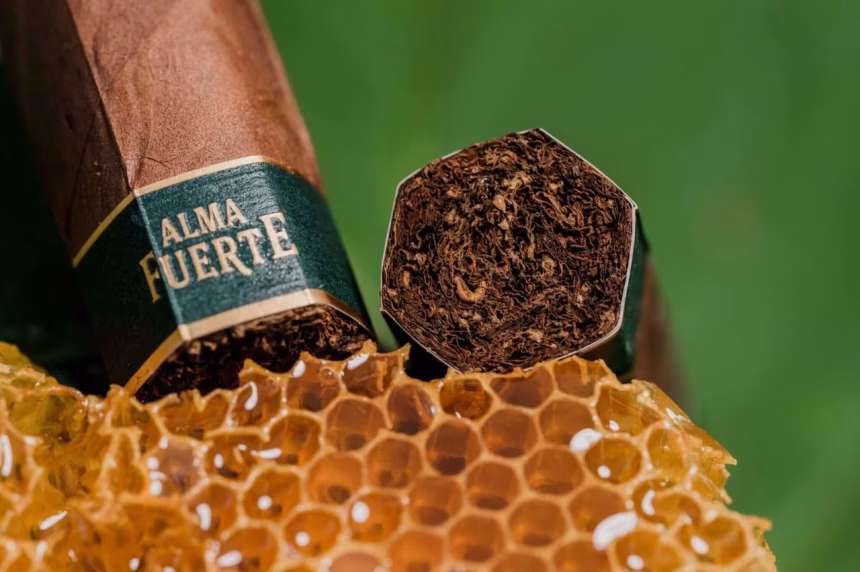 Plasencia Cigars: tradice luxusních doutníků - fotografie 5