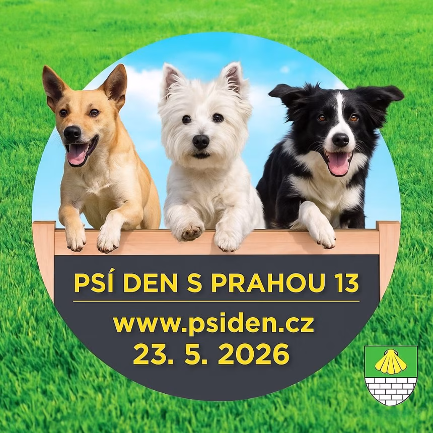 10. ročník Psí den s Prahou 13 – fotografie 7
