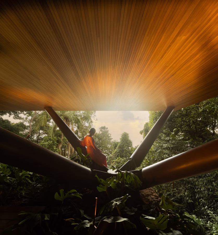 ES House se v brazilském lese zvedá do korun stromů - fotografie 2