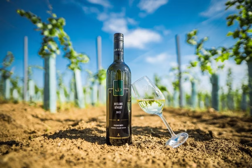 Ochutnejte esenci Moravy s víny od Vinařství Jakubík - foto 1 | brand photo