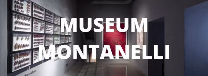Poznejte dosud v Česku neviděné výstavy díky Museu Montanelli - foto 1 | brand photo