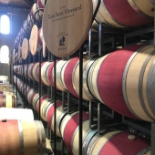 Napa Valley je ve vinařském světě pojem