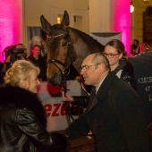 Vítěze ankety o nejlepšího mladého skokového koně roku 2014 Lord d´Ora zaskočila jeho matka Danora, valach totiž žije a závodí v Belgii. Jako jediný z 10 nominovaných koní má českého chovatele, Luboše