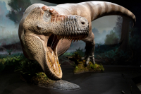 T-rex