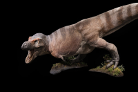 T-rex