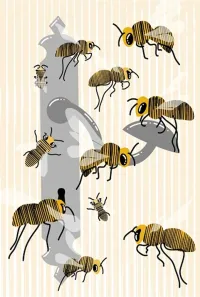 ilustrace: Alena Brunhilda Burneleit