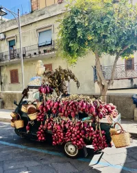 Červená cibule z Tropea - jeden ze symbolů Kalábrie /krom červených chilli papriček/