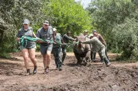 Credit: Howard Cleland – andBeyond Travel