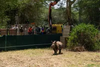 Credit: Jamie Lucas – Zuka