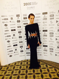 Vítezný model Mrazivá zimní noc