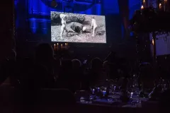 Česko-Slovenský ples potvrdil status vrcholu plesové sezóny - foto 12 | brand photo