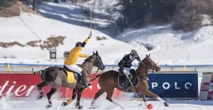TAXIS SNOW POLO 2019 - foto 2 | brand photo