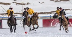 TAXIS SNOW POLO 2019 - foto 3 | brand photo