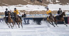 TAXIS SNOW POLO 2019 - foto 4 | brand photo