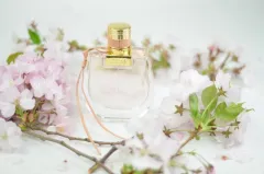 Zahalte se do vůně Dálného východu s parfémem Chloé Nomade  - foto 5 | brand photo
