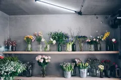 Diana Shatatová  - foto 3 | brand photo