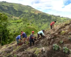 Ponořte se do aroma limitované edice kávy Master Origin Costa Rica od Nespressa  - foto 4 | brand photo