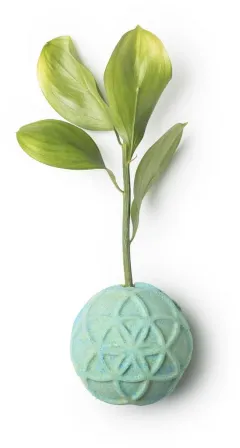 Lush slaví 30 let od vzniku koupelové bomby!  - foto 4 | brand photo