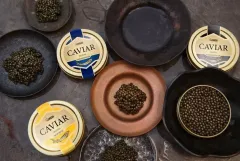Delikatesu nejvyšší kategorie najdete v obchodě Caviar House Lemberg v Legerově ulici - foto 3 | brand photo