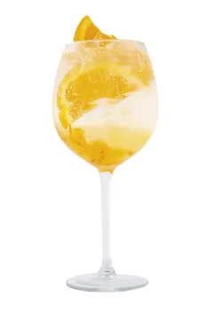 Nepostradatelná osvěžující kombinace léta: gin & tonic - foto 3 | brand photo