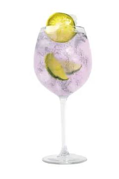 Nepostradatelná osvěžující kombinace léta: gin & tonic - foto 5 | brand photo