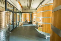 Vinařství Volařík Mikulov: 