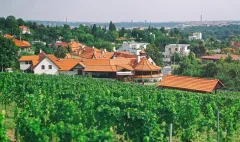 Zajděte na vynikající degustační menu do restaurace Salabka a dopřejte si tamější excelentní víno!  - foto 2 | brand photo