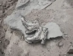 Nová kolekce a image firmy Kazar - foto 3 | brand photo