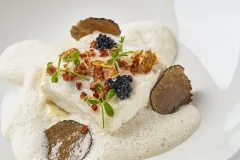 Halibut