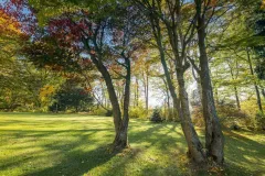 Užijte si odpočinkovou dovolenou v luxusní Ville Regenhart - foto 11 | brand photo