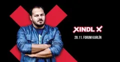 xindl x