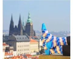 Pestré a jedinečné ponožky každý měsíc! To je členství v Klubu Pánů z Ponožkovic - foto 1 | brand photo