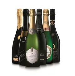 Rozmazlujte se a oslavte výjimečný okamžik pravým šampaňským - foto 1 | brand photo