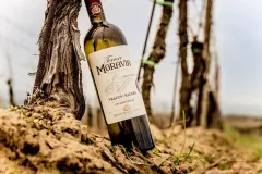 Pan Bořek Svoboda, ředitel Zámeckého vinařství Bzenec – výherce soutěže Prague Wine Trophy - foto 4 | brand photo