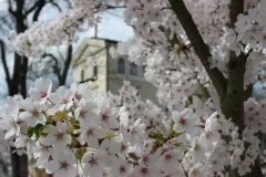 Výjimečné jarní akce na Chateau MCELY - foto 1 | brand photo