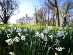 Výjimečné jarní akce na Chateau MCELY - foto 3 | brand photo